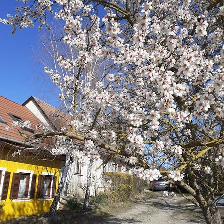 Vila Eva Vendeghaz Tata Exteriér fotografie