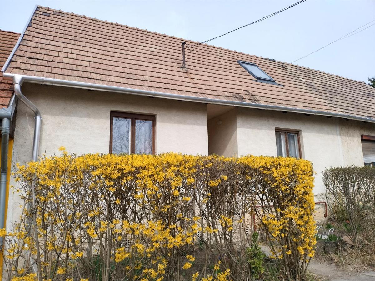 Vila Eva Vendeghaz Tata Exteriér fotografie