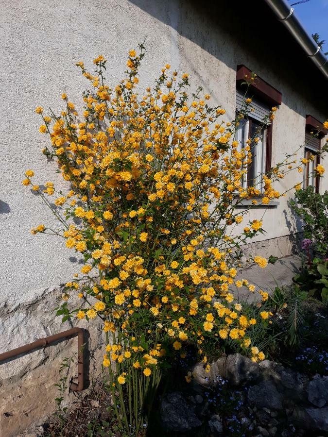 Vila Eva Vendeghaz Tata Exteriér fotografie